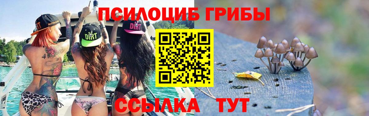 Псилоцибиновые грибы мухоморы  Вход с VPN  Москва 